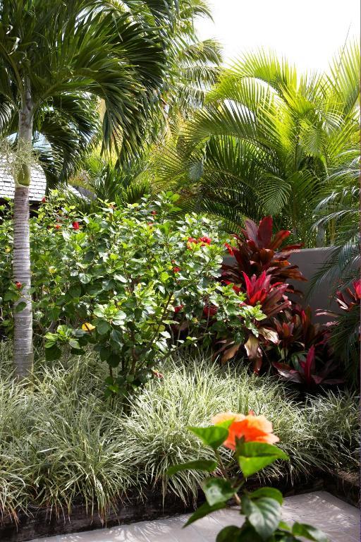 Te Vakaroa Villas Rarotonga Eksteriør billede